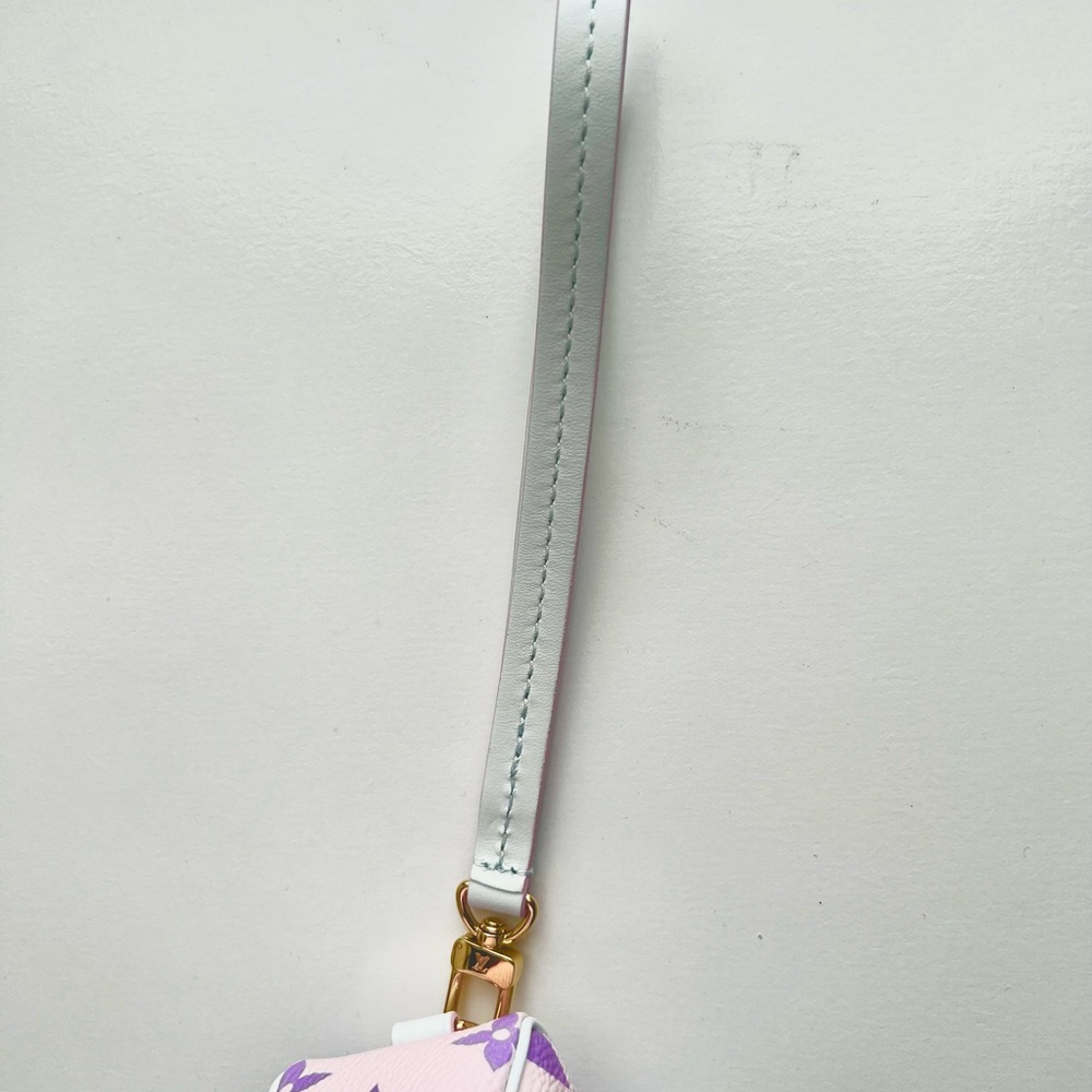 π₯ LOUIS VUITTON Monogram Spring In The City Wapity Case Sunrise Pastel - Picture 10 of 12